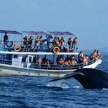 Luxury-Yachts-Sunset-Trips-in-Sri-Lanka
